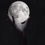 vMoonLightv