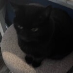 welcome to my profile