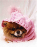 The Fluffy Poms