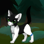 Badcatlover99