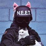 / N.E.E.T /