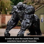 Bat's Builds