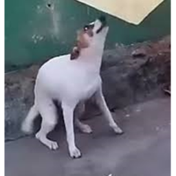 NO