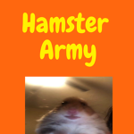 HA| Hamster Army