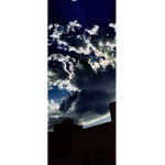 تالا وريتال و ديم