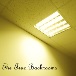 The True Backrooms