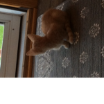 111111111111111