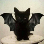 Emo-cats