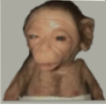 Sallygirlgamer123456