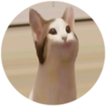 Fun Pop Cat