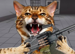 PKMeows