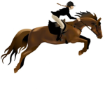 Horseshoe academy