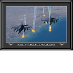 U.S.A   AIR FORCE