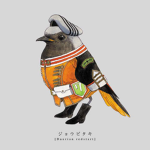 Feather Family Fan Group (not original )