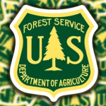 Forest Ranger