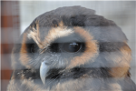 Nature Group Thumbnail