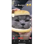 Friends of Roblox pets