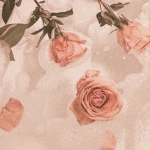 Rosewater Fashion <3