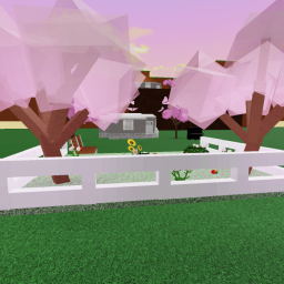 Ducky Vibe Areas