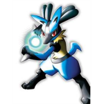 the people who love pokemon