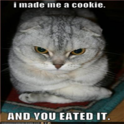 funny cat Roblox decal