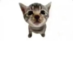rbwjabsxbcnxmabcnxbcnmsacbsam