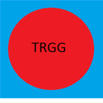 The ROBLOX Game Group!
