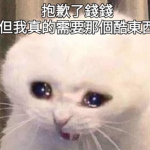 doge roblox studio