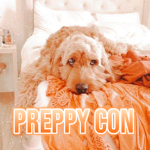 Preppy Con Official