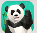 Cute panda snowy group