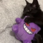 Vxro’s Club Group Thumbnail