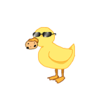 Deroruu Ducklings