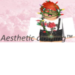Gr8 Aesthetic Clothing™