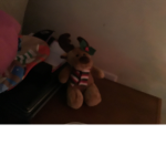 raindeer pets