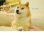 The Doge_Defenders