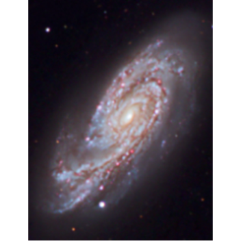 Galaxy Size Comparison