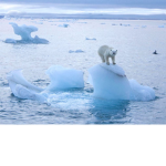 ~Arctic Clothes~