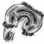 Diamond_dragonWARZ Fan Club