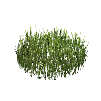 🏆 Realistic Grass Chill Meetup Cafe RP Sky Beac