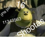 16 shootas