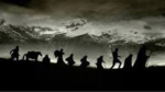 The Fellowship of the Free Folk