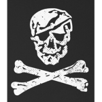 [DEVGRU] [Blue Squadron]