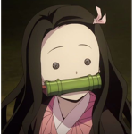 <Demon Slayer>< GROUP>