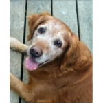 Rest In Peace Sierra Rose :(