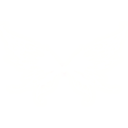 [ GLOWING ] Fairy Wings White 