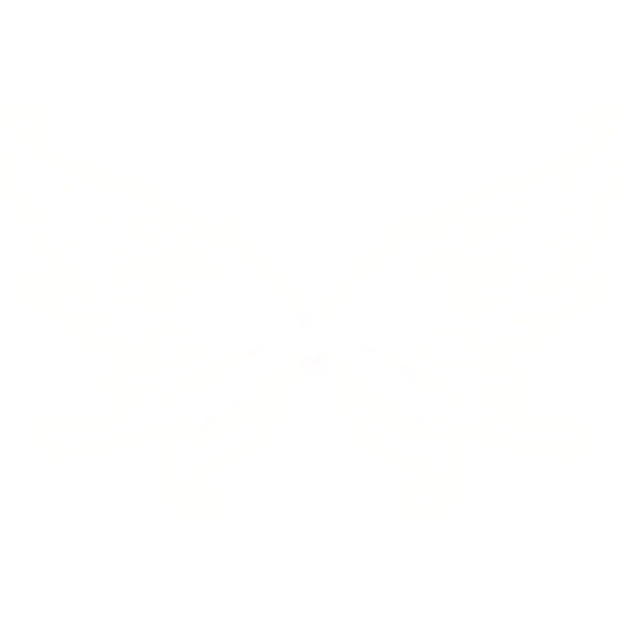[ GLOWING ] Fairy Wings White 