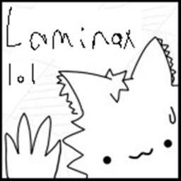 Laminax & Corperation