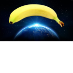 SPACE'S KINGDOM