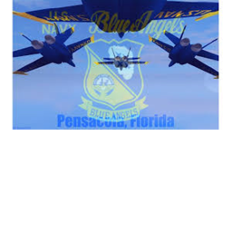 {New} 2020 - 2021 Blue Angles Air Show