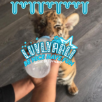 luvlyaali!!!